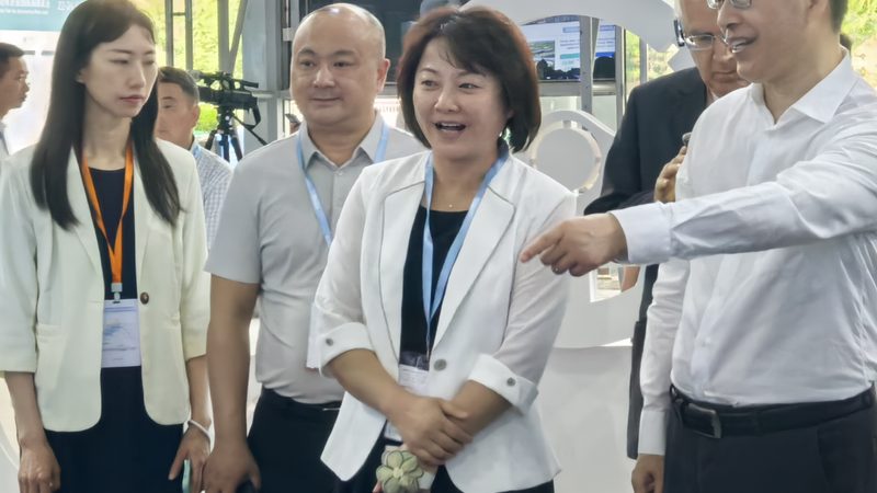北京新能源汽车配件报价单：如何解读与选择**
